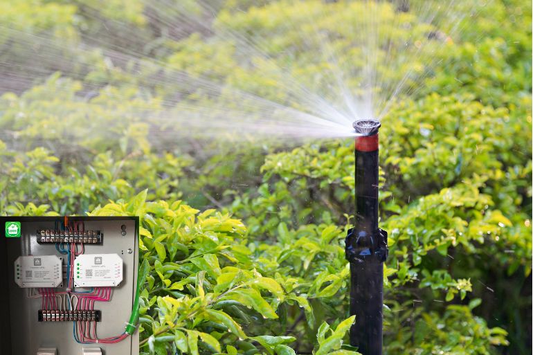 tưới tự động